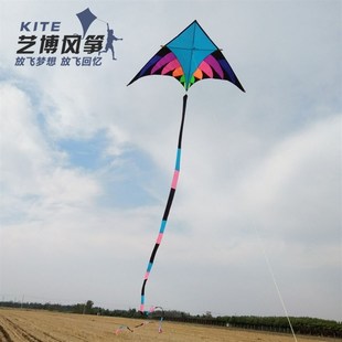 艺博风筝伞布大型妖姬风筝高档成人三角初学者易飞线轮套餐包邮