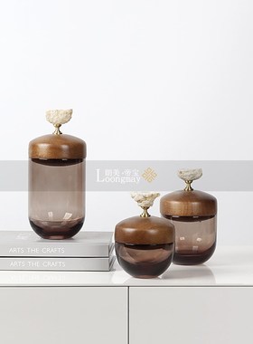 现代轻奢咖色玻璃器皿收纳罐样板房客H厅茶几床头柜装饰罐软装摆
