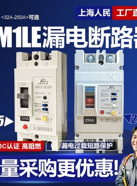 CM1LE单相漏电断路器63A 100A 125A 160A 250A塑壳漏保220V空开2P