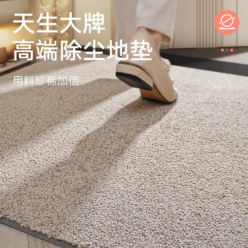 玄关入户b门地垫轻奢进门门厅地毯奶油风羊毛门口门垫高端大江新