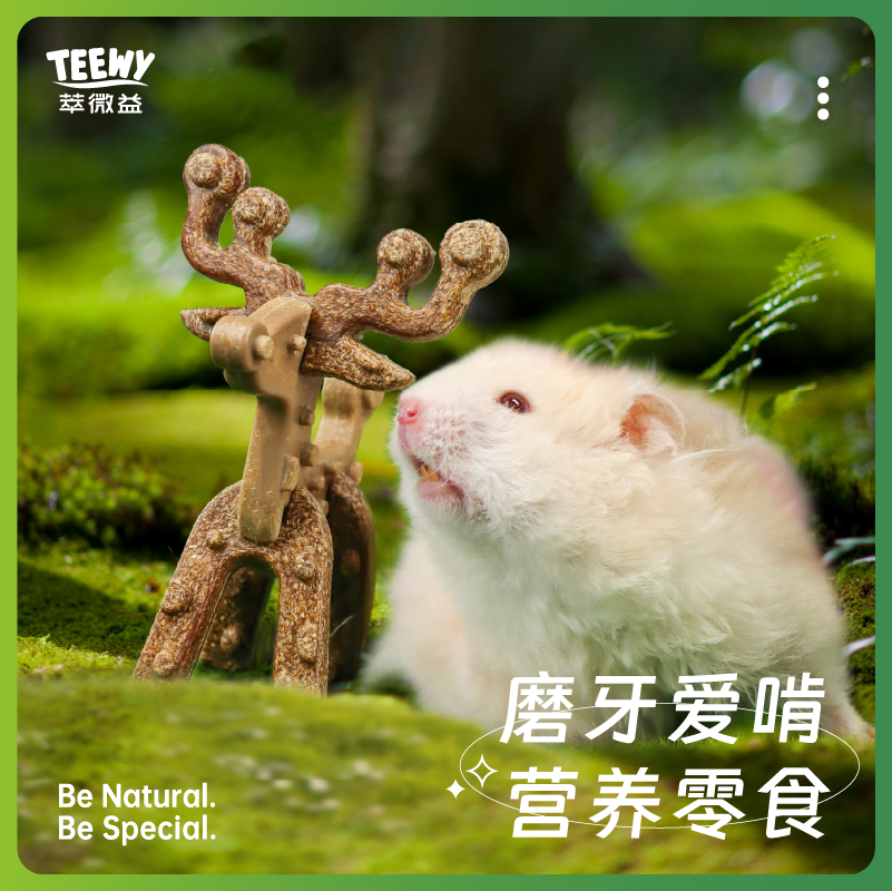 teewy萃微益仓鼠零食磨牙棒营养粮食金丝熊蜜袋鼯造景用品大全