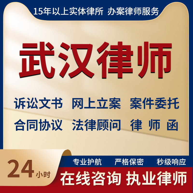 武汉律师事务所法律咨询服务代写法律咨询