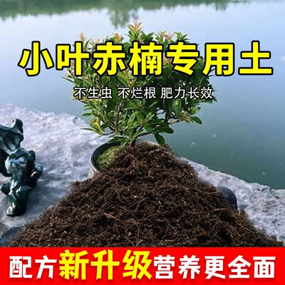 小叶赤楠a专用土种树菜园花盆果树泥土果蔬农业盆栽肥料家庭透气
