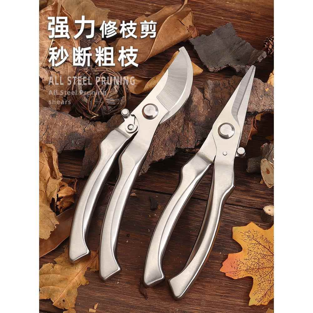 园艺剪枝剪刀修枝剪不锈钢果树园林树枝盆K景修剪造型专用剪子工