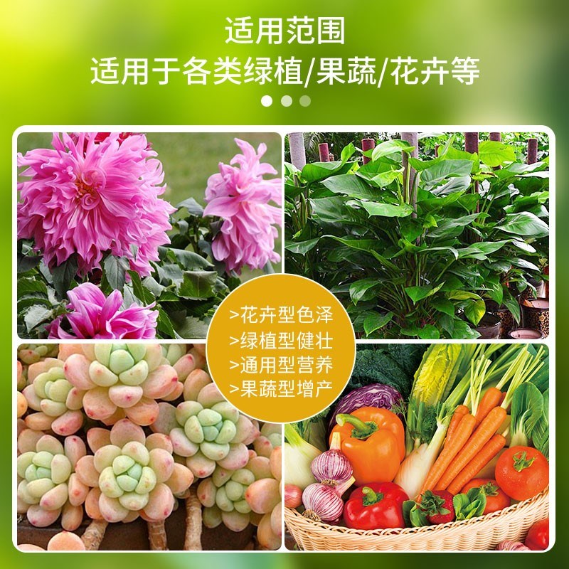 老花医液郎1号花卉多肉专用爆芽素催芽破僵苗增加抗寒抗旱营养液