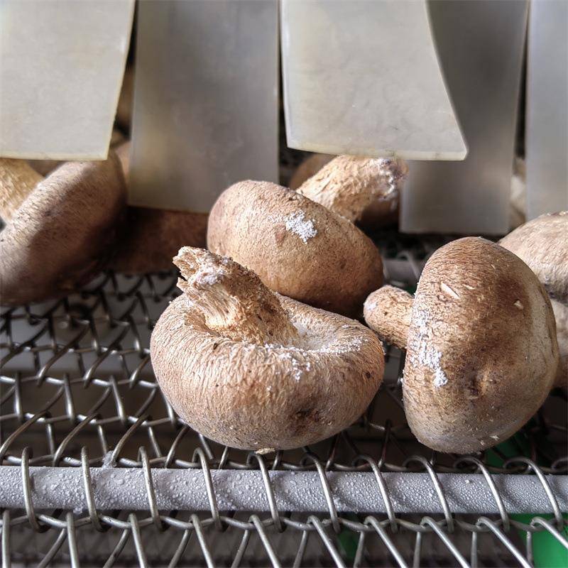 饺子汤圆速冻流水线 灌汤包隧道速冻机 面食平板式速冻设备