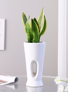 白色家用陶瓷花盆客厅兰s花虎皮兰茉莉专用冬青花瓶三角梅高款落