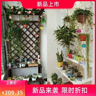 绿化白色绿萝花架客厅复古单w个凉台墙面新款 简约窗户 简易落地式