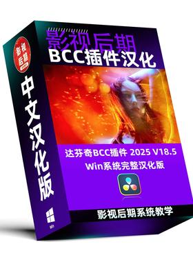 达文西BCC插件汉化特效转场插件Win名称参数完整汉化2025 V18.5