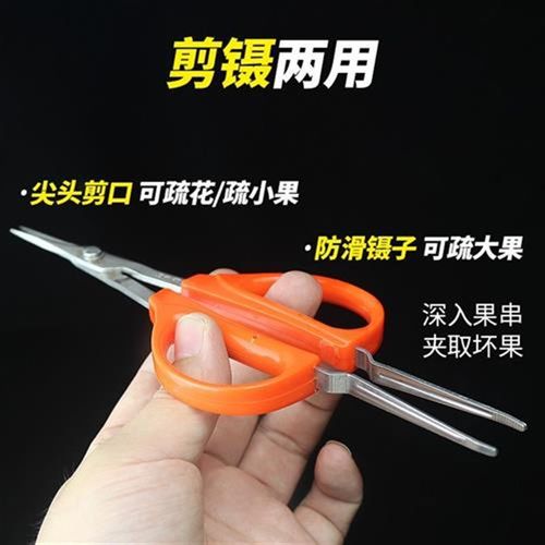 阳光玫瑰葡萄蔬果专用剪刀翘头疏果剪修枝水果稀果剪带镊子取坏果