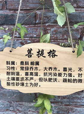 定制实木防水树牌 花园装饰木挂牌 幼儿园树木认养牌插地木牌雕刻
