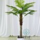 仿真小椰子树拍摄道具落地绿植盆景装 饰定制家居