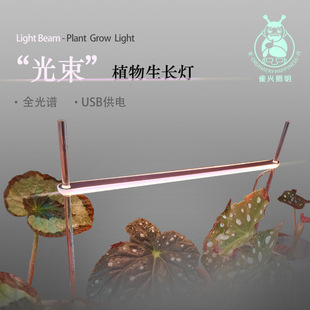 生长灯全光谱室内多肉补光灯上色家用光合作用LD条灯