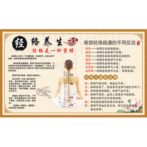 经络养生简介墙纸中医馆诊所背景墙装饰壁画展板海报推拿理疗壁纸