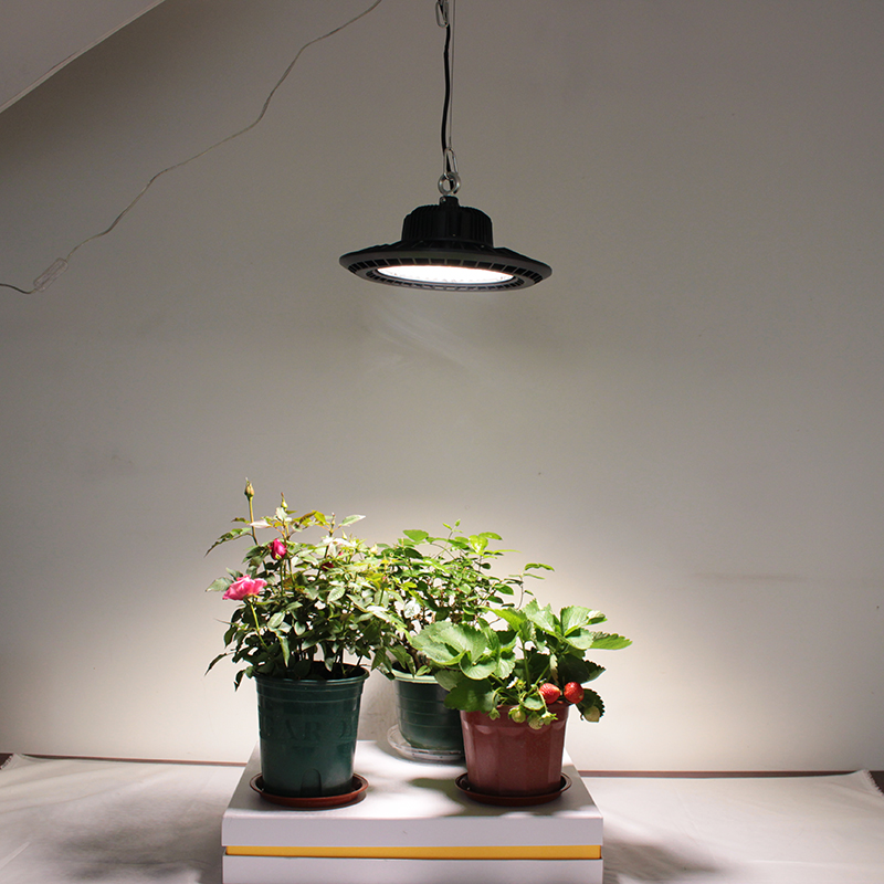 喜浪草莓蔬菜月季花兰花卉植物生长灯绿植盆栽全光谱仿太阳补光灯