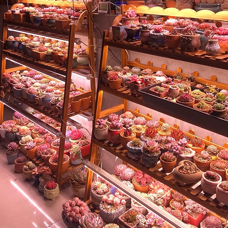 LED植物生长灯全光谱多肉上色室内大棚仿太阳光花卉蔬菜补光灯