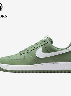 Nike/耐克正品2025秋季款男士日常低帮系带透气板鞋FJ4146-301