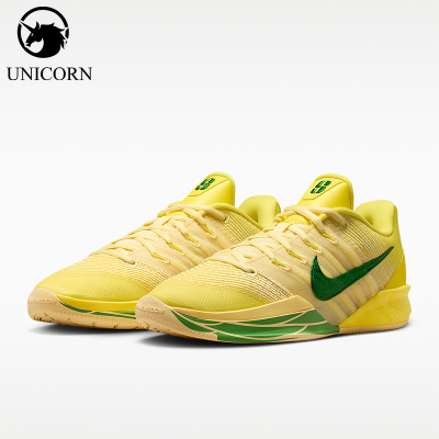 Nike/耐克正品四季款男女款耐磨减震经典健步篮球鞋IR2477-700