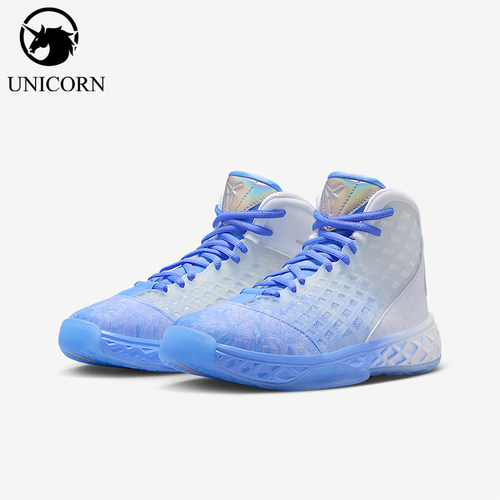 Nike/耐克正品2025冬季款儿童高帮系带经典耐磨篮球鞋HQ2304-400