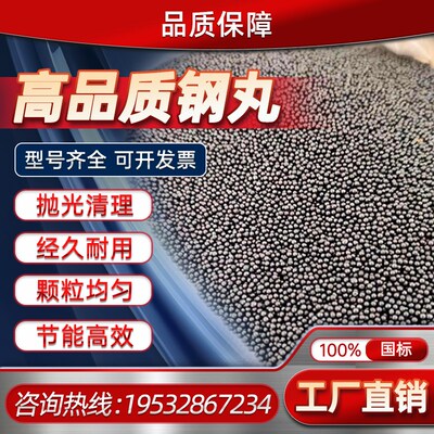 钢丸钢砂不锈钢丸钢丝切丸合金铸钢丸钢沙抛光丸抛丸砂抛光沙喷砂