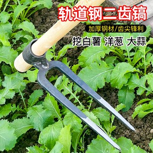 两齿锄头锻打铁耙子农用工具翻地松土叉锄刨地种菜挖笋一体两齿镐