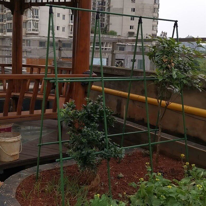丝瓜爬藤架瓜果番l茄西红柿阳台种菜专用黄瓜架子竹竿葡萄庭院户