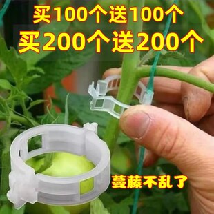 藤蔓固定夹神器i西红柿吊秧夹绑黄瓜夹子植物卡扣藤蔓夹爬藤固定