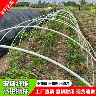 新型拱棚支架室外蔬菜骨架弓条弓棚种植秧苗小工棚温室避雨小棚2m