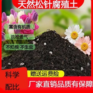 云南腐熟松针腐殖土n兰花多肉营养土养花专用种菜通用型腐叶种植