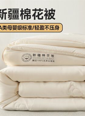 2024新款水洗棉新疆棉花被冬被春秋被子大学生宿舍四季被芯纯棉花