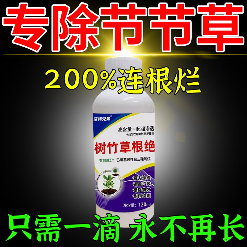 节节草克星香附子节节草烂根剂菜地E专用除草剂不伤苗除杂草一扫