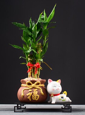 创意发财树盆栽绿植摆件家居饰品客厅电视柜办公桌T面装饰玄关摆