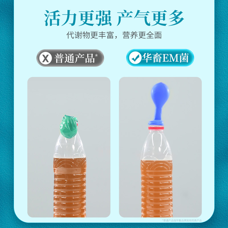 华畜菌水产养殖用 益生菌乳酸菌浓缩粉鱼苗芽孢杆菌生物原液