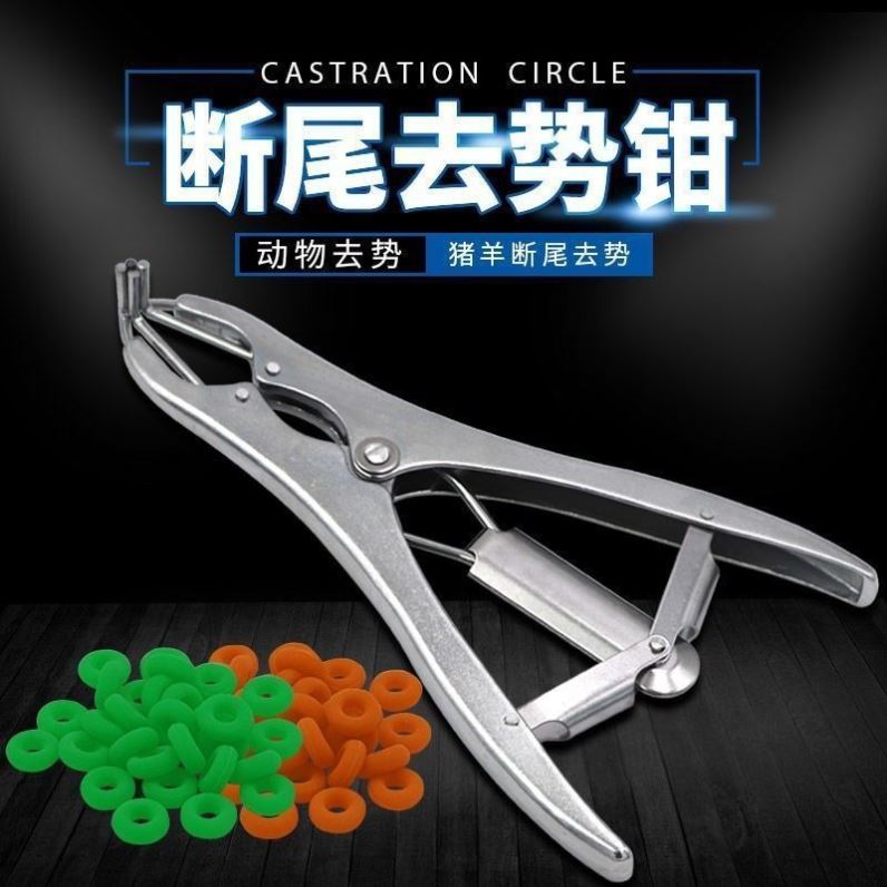 羊断尾圈断尾钳扩张钳羔羊断尾皮筋无血兽用小羊剪尾器胶圈