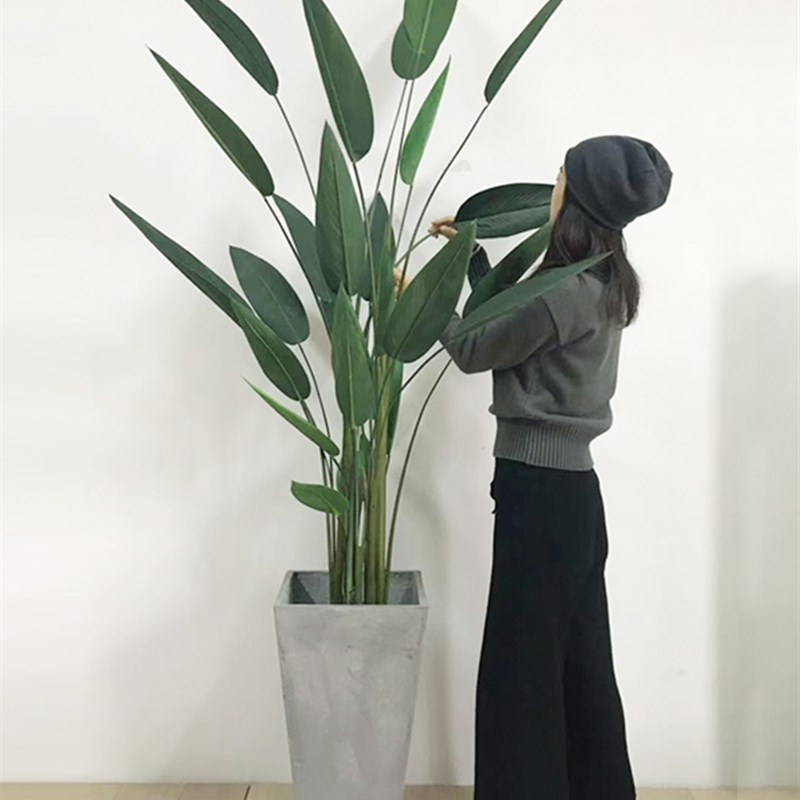 仿真植物橄榄树绿植客厅家居室内外琴叶榕大型旅人蕉假树竹子装饰