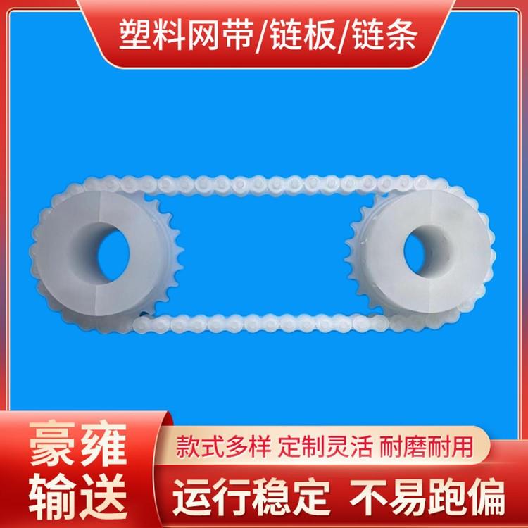 08APP塑料链条 08APVDF塑料滚子链条 塑料滚子链链轮制作
