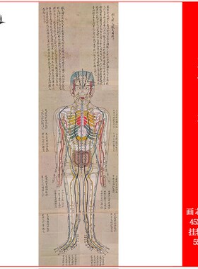 针灸穴位五脏六腑图古代医学经络参考绘画中医养生馆挂画挂轴装裱