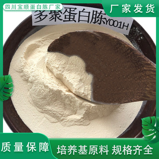 多聚蛋白胨丨胰酪蛋白胨丨酵母蛋白胨 丨月示蛋白胨 培养基原料