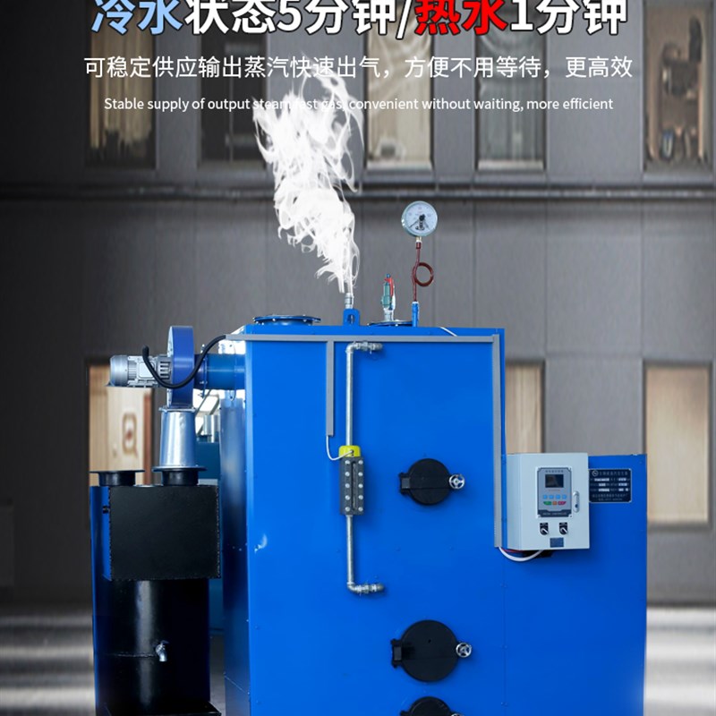 生物质蒸汽发生器反烧节能燃煤取暖节能颗粒工业用食用菌灭菌锅炉