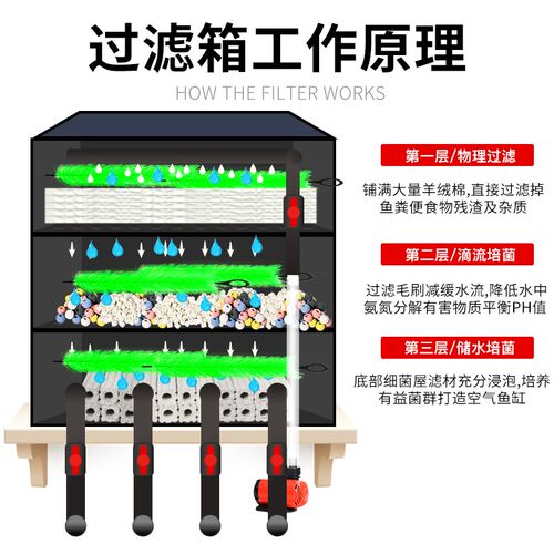 户外鱼池过滤周转箱鱼缸滴流上过滤盒庭院锦鲤龟缸沼泽水循环系统