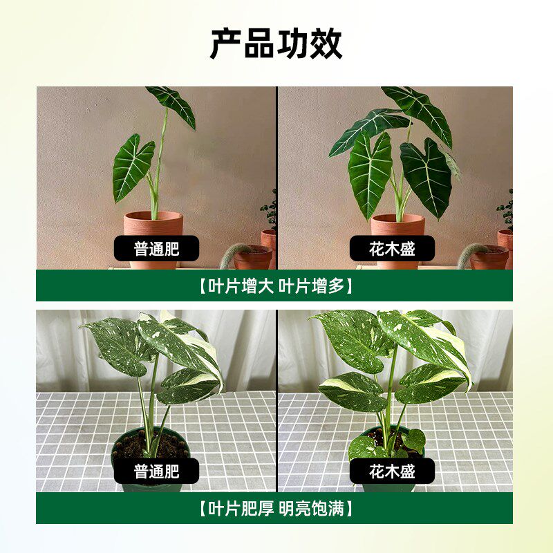 花木盛植物生长家庭园艺智能离子营养基观叶绿植及多肉型,鲜花速递/花卉仿真/绿植园艺,家庭园艺肥料,淘宝优惠券,粉丝福利购,淘宝优惠卷