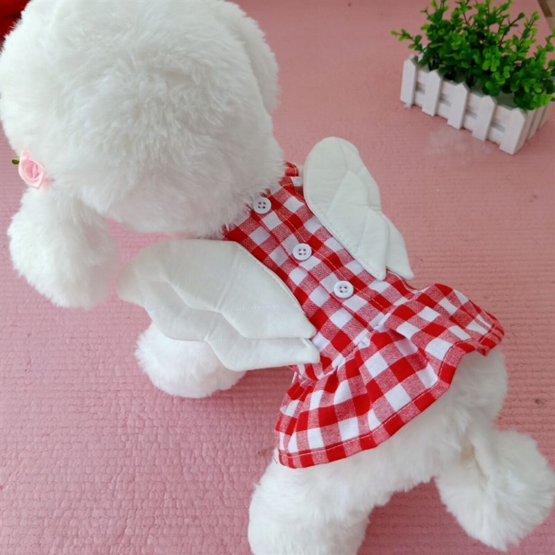 翅膀连衣裙夏季薄款泰迪宠物小狗狗猫咪博美雪纳瑞比熊衣服小型犬