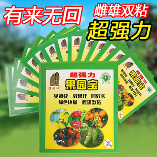 果园宝果蝇诱粘蝇板瓜果实蝇桔小实蝇针蜂害虫苍蝇粘胶20张600张