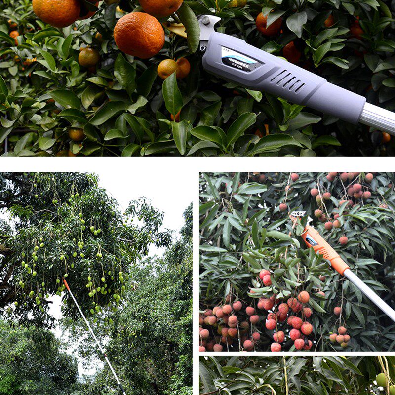 电动摘果剪果园伸缩高枝剪荔枝龙眼修枝剪刀高空加长充电式摘果器