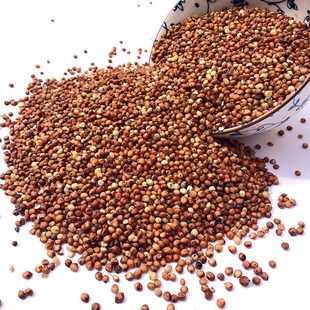 炫料鸽子饲料带壳红高粱高粱米鹦鹉鸟食仓鼠白鸽信鸽宠物粮食饲料