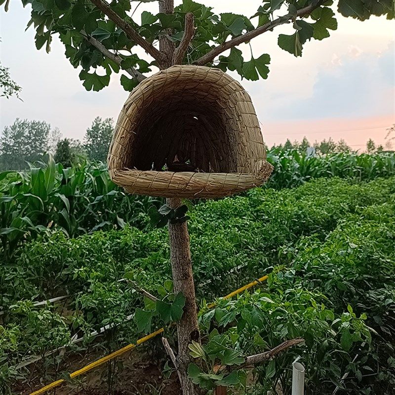 手工稻草编织喜鹊鸟窝鸟巢冬天保暖园林别墅装饰野鸟环保小鸟玩具,宠物/宠物食品及用品,鸟禽其他,淘宝优惠券,粉丝福利购,淘宝优惠卷