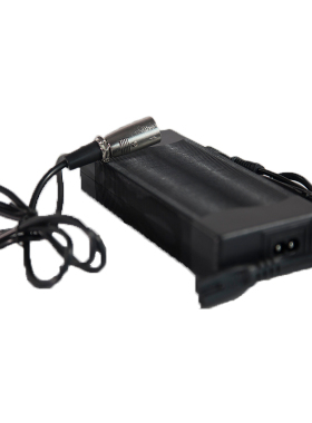 EWING思维翼原装平衡车充电器2  2 W W2 E充电器
