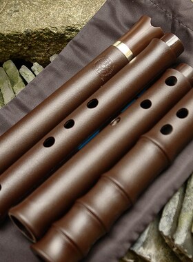 任箫八孔洞箫合成箫拆便携演奏箫 树脂箫 调G调F调E调