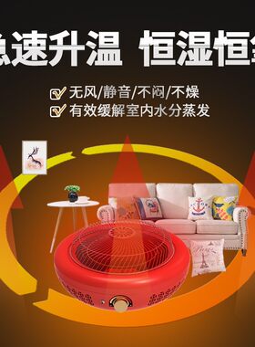 三元光电电火盆结婚迷你取暖器家用速热冬季暖脚器电烤火炉电暖气