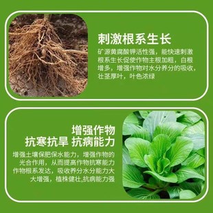 松土精土质疏松剂抗重茬免深耕保水保肥调理剂土壤板结盐碱改良剂